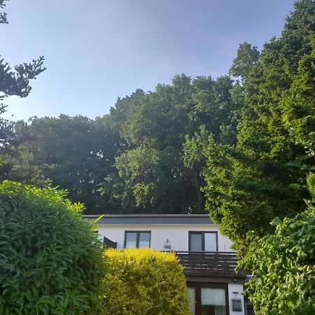 Apartment Am Waldrand 1 Person ,Gemuetlich, Nichtraucher 伊策霍 外观 照片