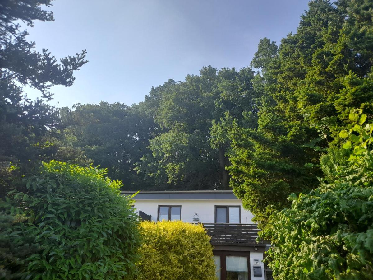 Apartment Am Waldrand 1 Person ,Gemuetlich, Nichtraucher 伊策霍 外观 照片